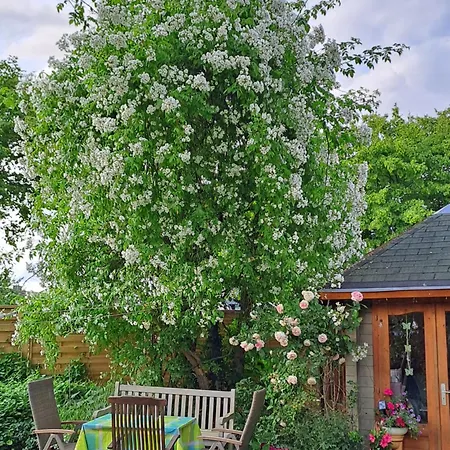 Apartament Gitta Helmstorf (Plon)