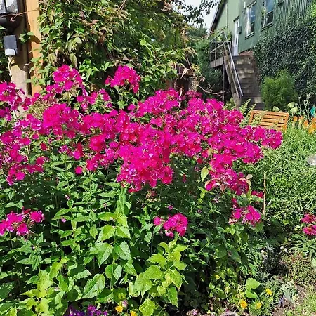 Gitta Apartament Helmstorf (Plon)